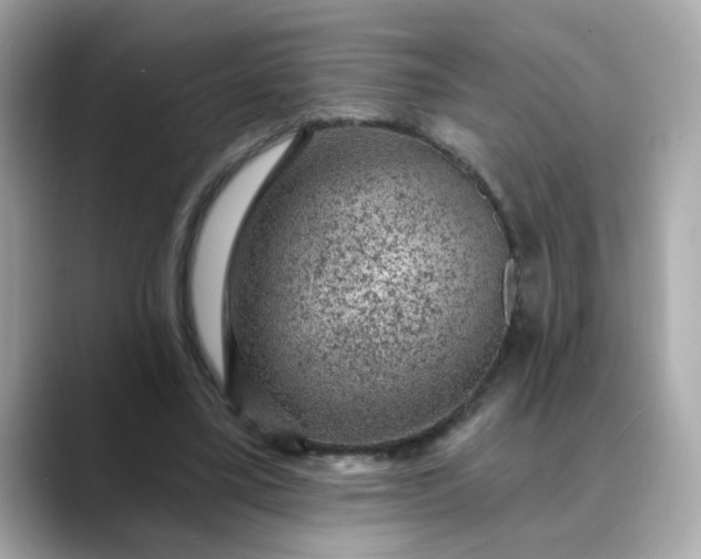 X0000088430395200706051234