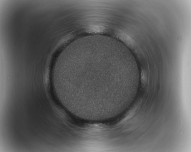 X0000088430396200706051234