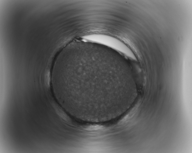 X0000088430397200706051234