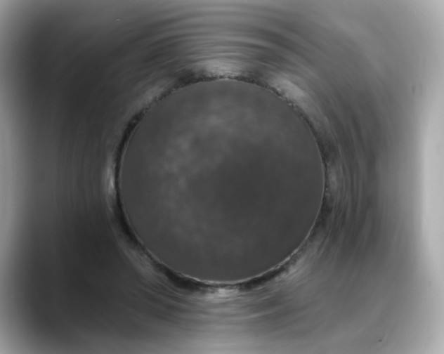 X0000088430398200706051234