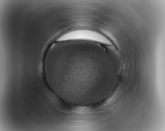 X0000088430399200706051234