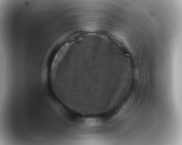 X0000088430400200706051234