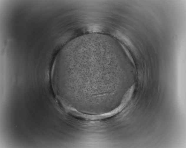 X0000088430401200706051234