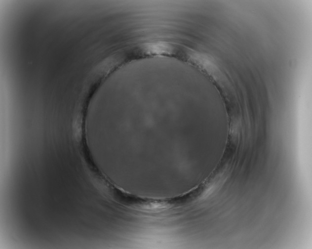 X0000088430402200706051234