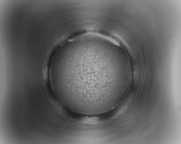 X0000088430403200706051234