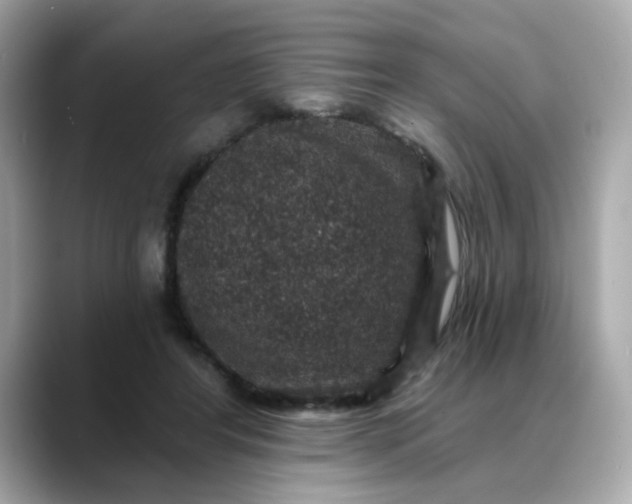 X0000088430404200706051234