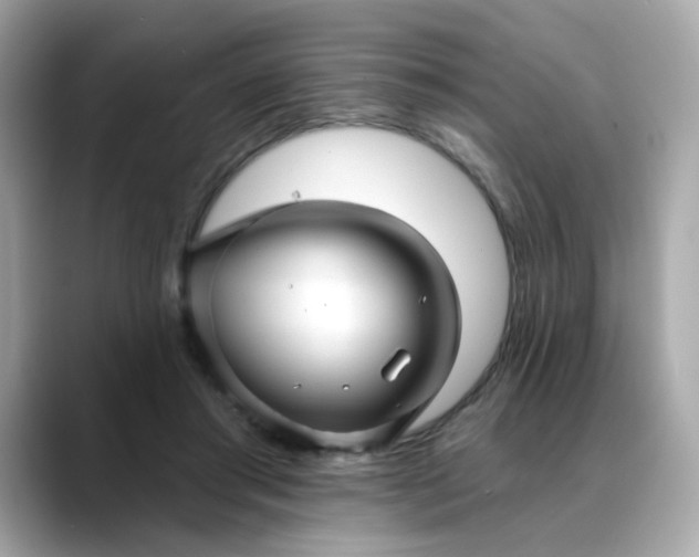 X0000088430405200706051234