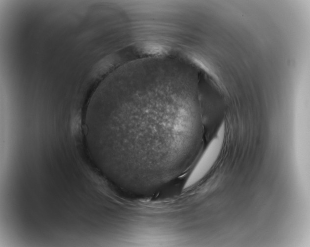 X0000088430407200706051233