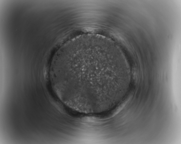 X0000088430408200706051233