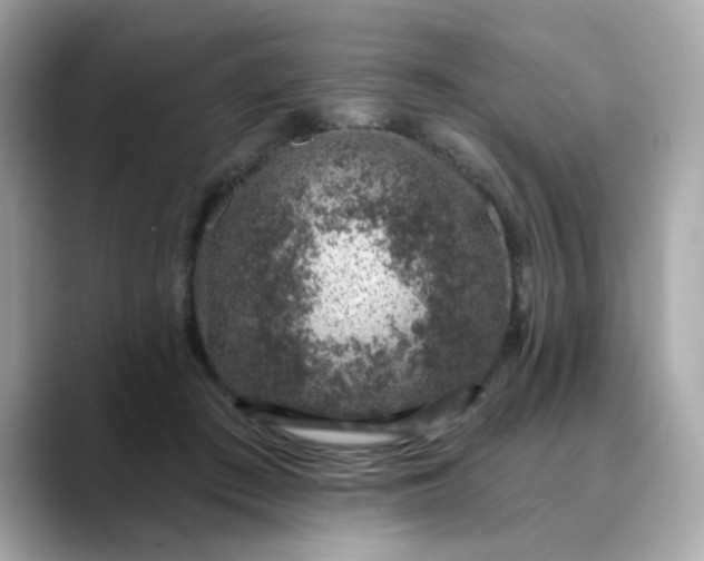 X0000088430409200706051233