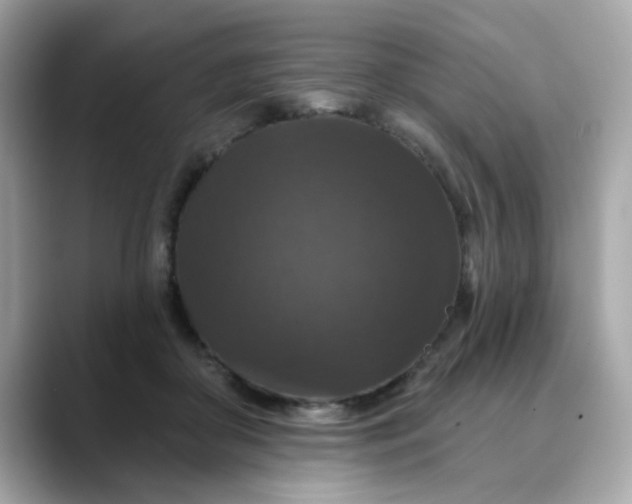 X0000088430410200706051233