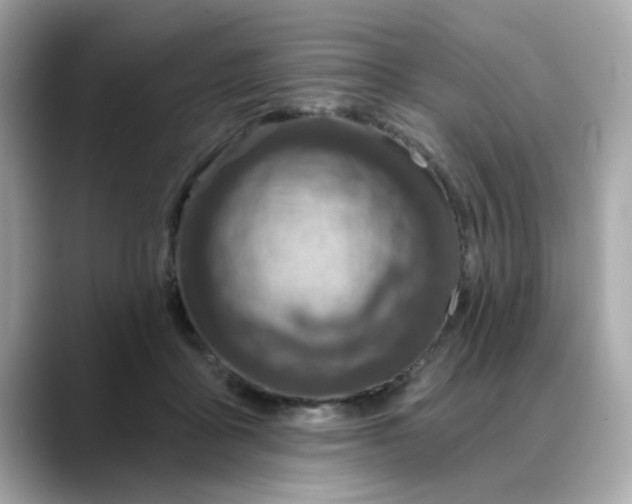 X0000088430411200706051233