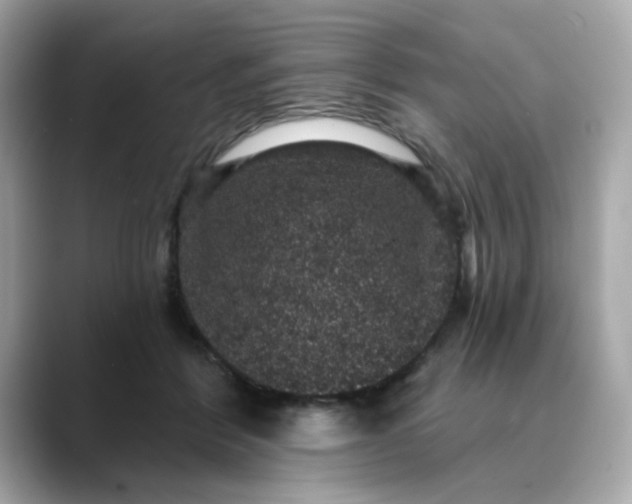 X0000088430412200706051233