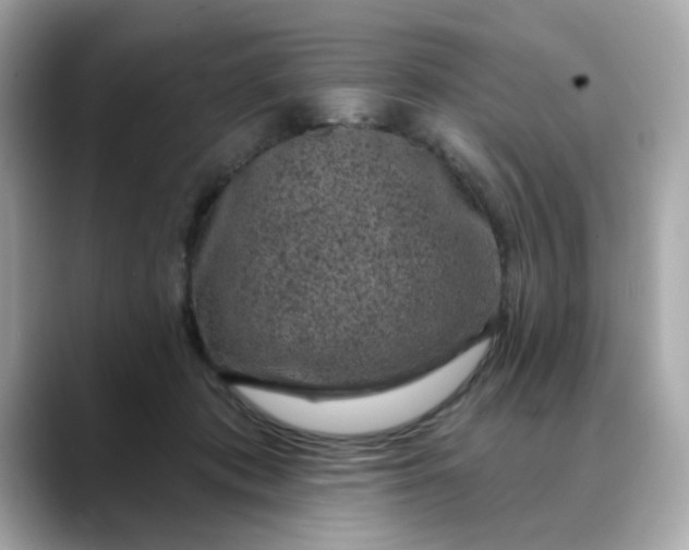 X0000088430413200706051233