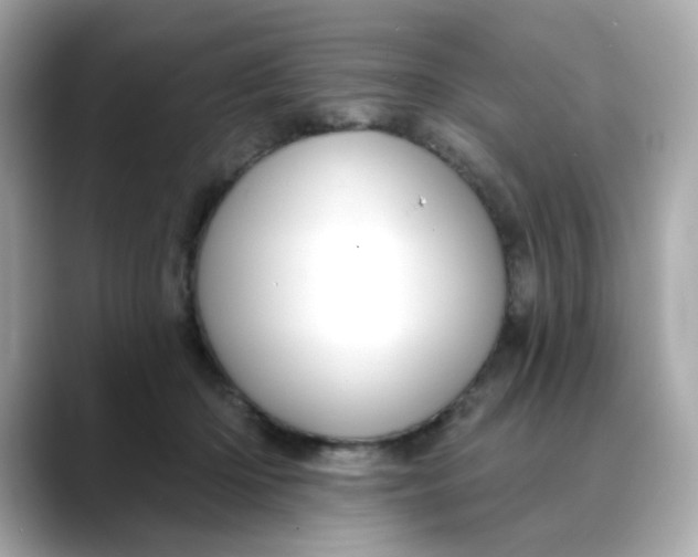 X0000088430414200706051233