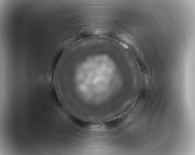 X0000088430415200706051233