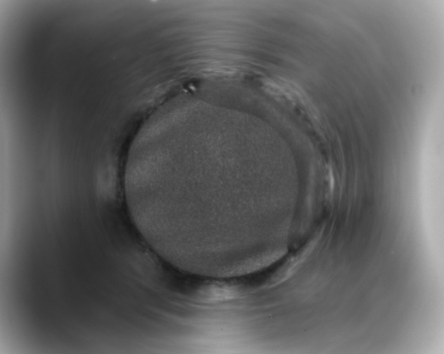 X0000088430416200706051233