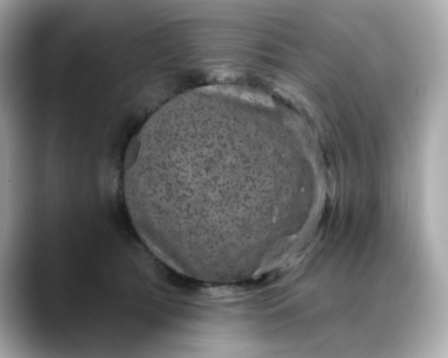 X0000088430417200706051233