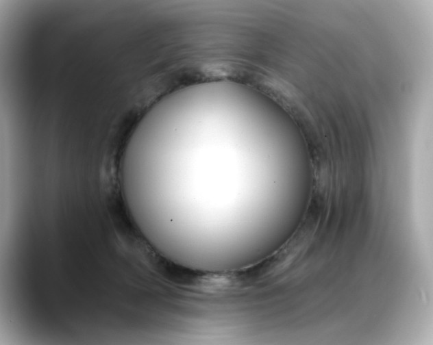 X0000088430418200706051233