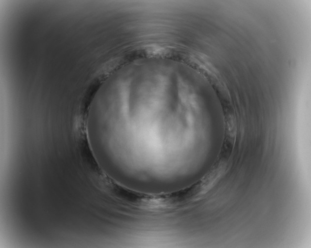 X0000088430419200706051233