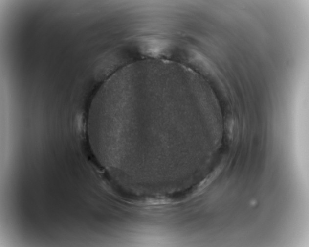 X0000088430420200706051233