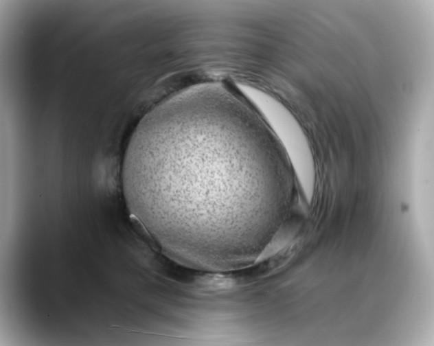 X0000088430421200706051233