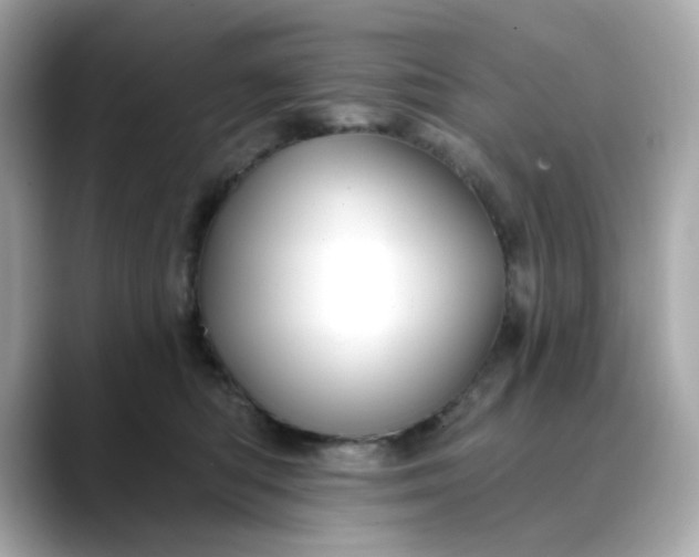 X0000088430422200706051233