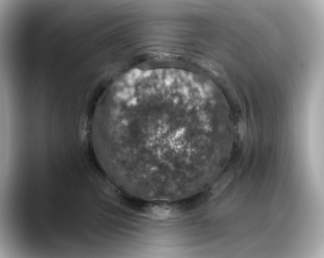 X0000088430423200706051233