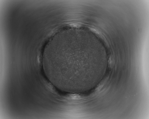 X0000088430424200706051233