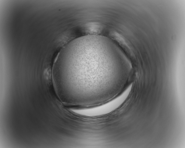 X0000088430425200706051233