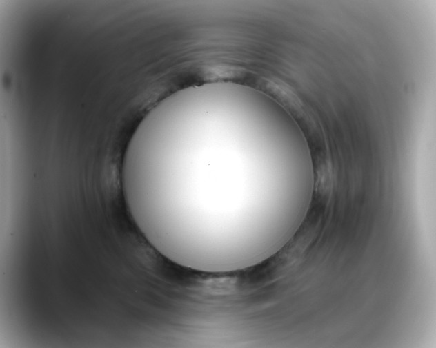 X0000088430426200706051233