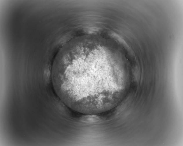 X0000088430427200706051233