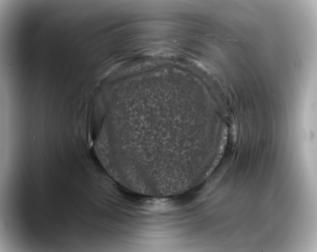 X0000088430428200706051233