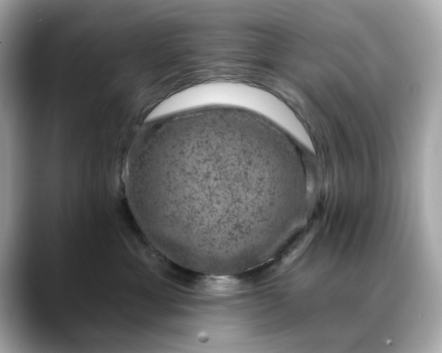 X0000088430429200706051233