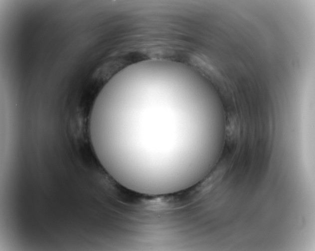 X0000088430430200706051233