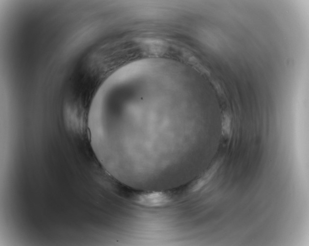 X0000088430431200706051233