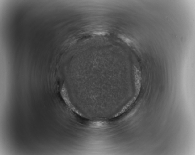 X0000088430432200706051233