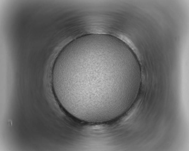 X0000088430433200706051233