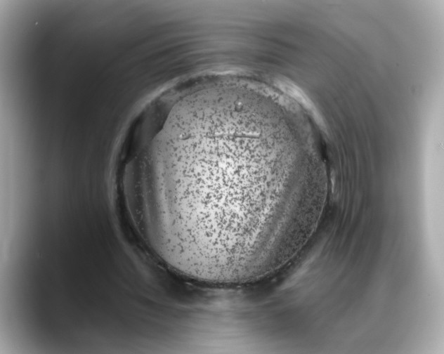 X0000088430436200706051233