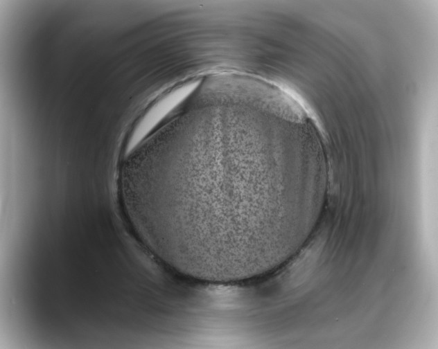 X0000088430437200706051233