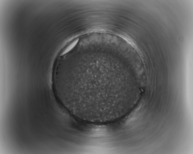 X0000088430438200706051233