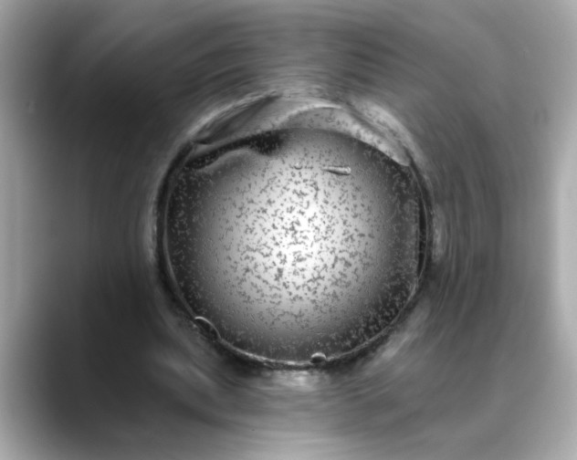 X0000088430439200706051233