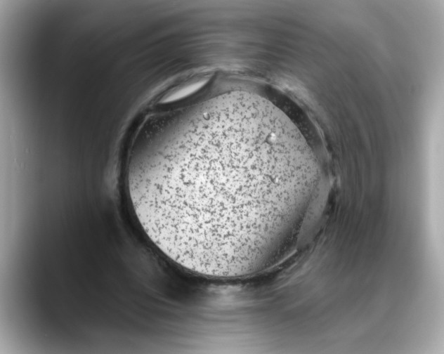 X0000088430440200706051233