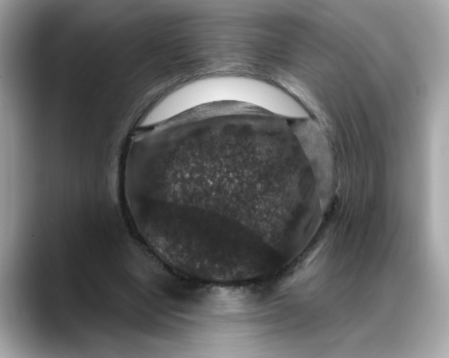 X0000088430442200706051233