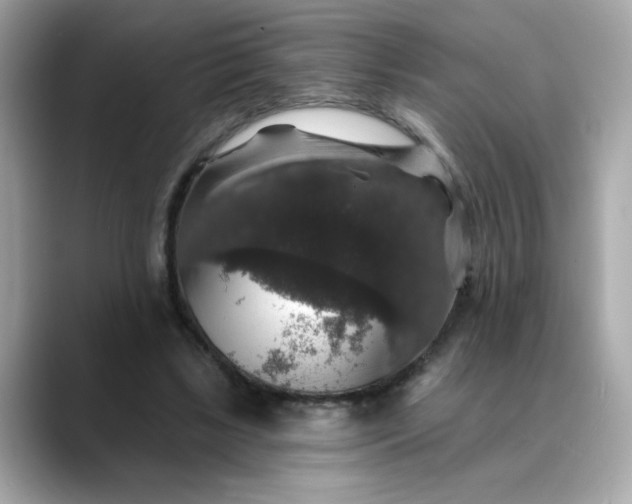 X0000088430443200706051233