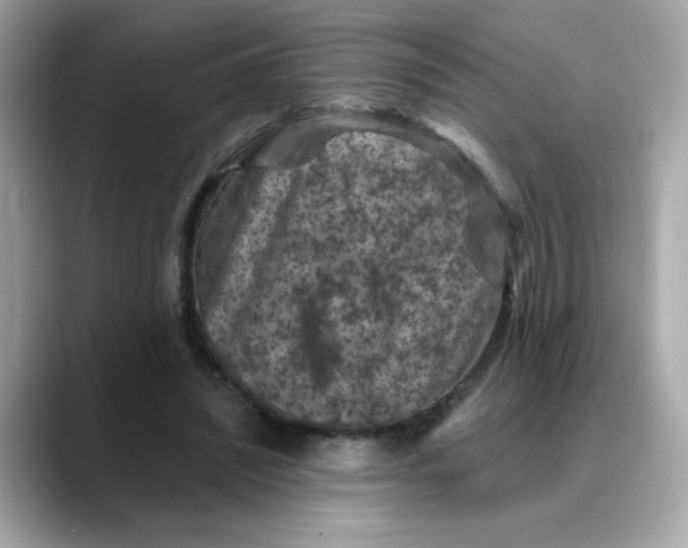 X0000088430444200706051233