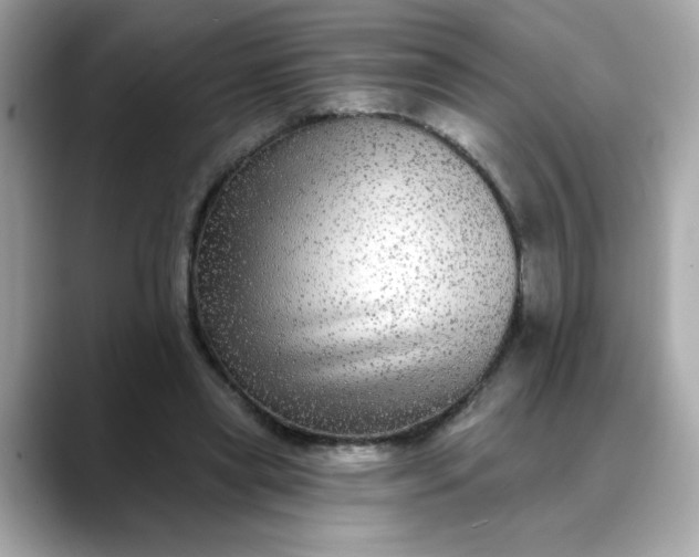 X0000088430445200706051233