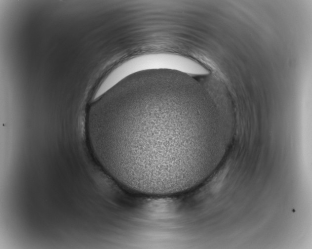 X0000088430446200706051233