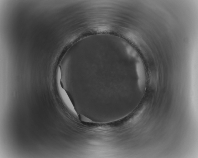 X0000088430447200706051233