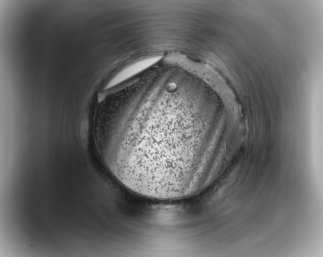 X0000088430448200706051233